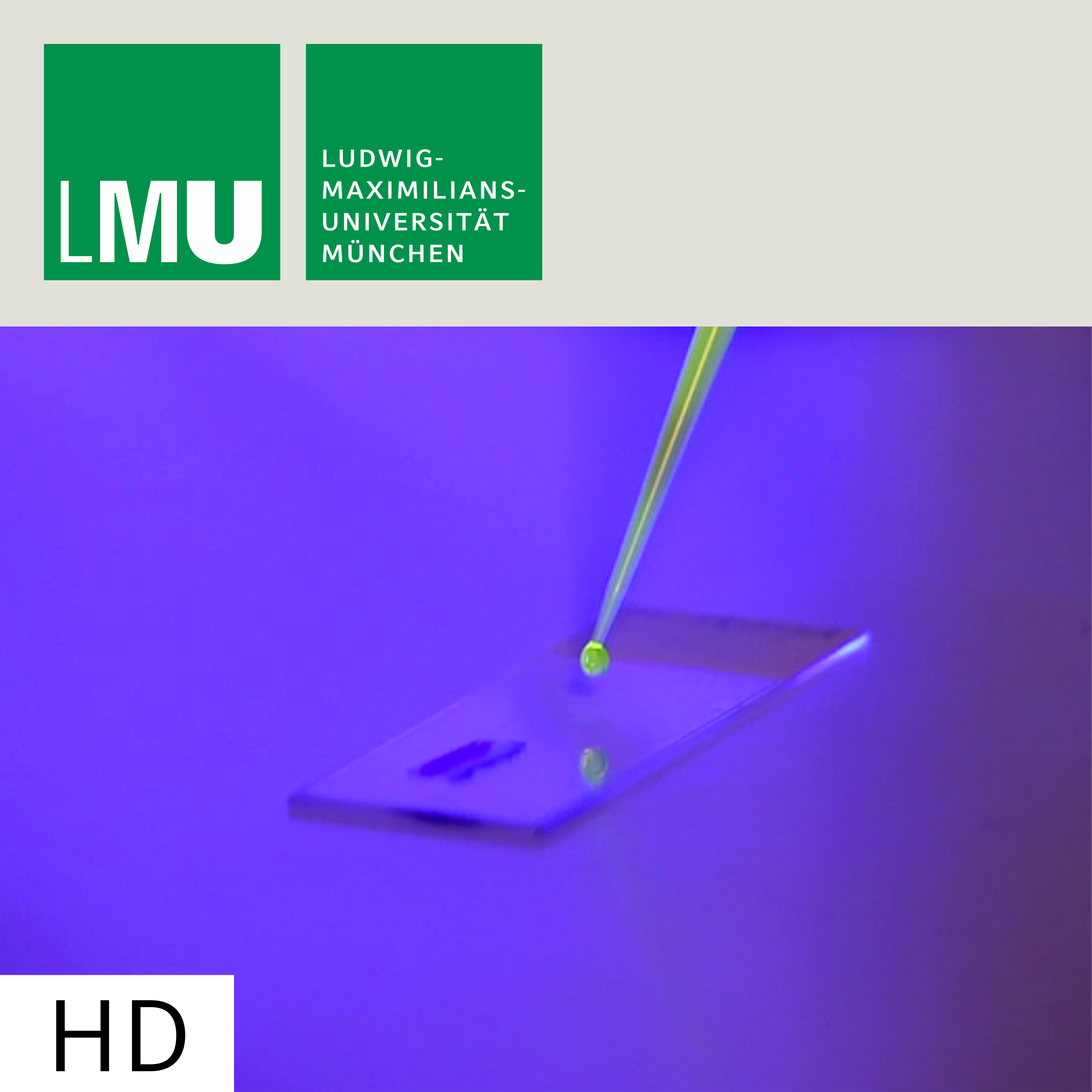 Lichtschalter aus dem molekularen Baukasten – HD